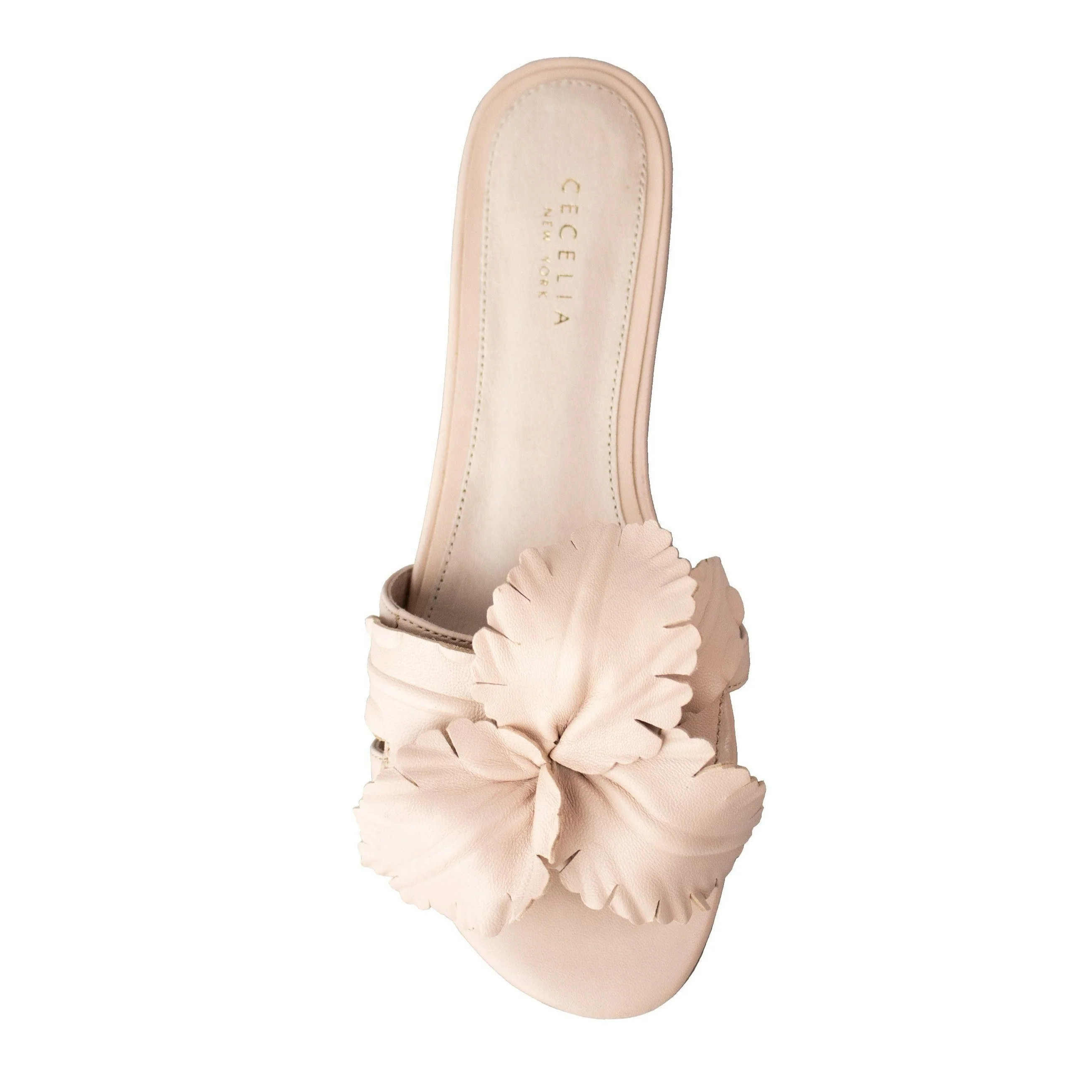 LILA | Cecelia New York