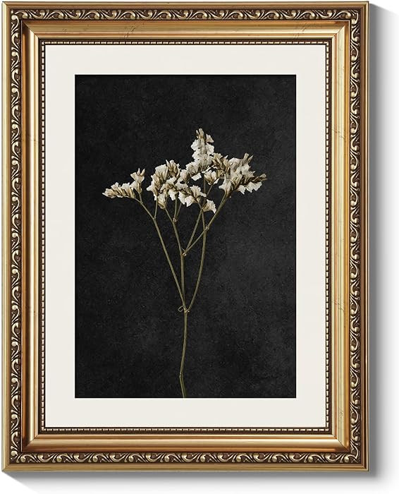ARPEOTCY Vintage Gold Framed Wall Art, Retro Dark Dried Wildflower Paintings, Aesthetic Canvas Pr... | Amazon (US)