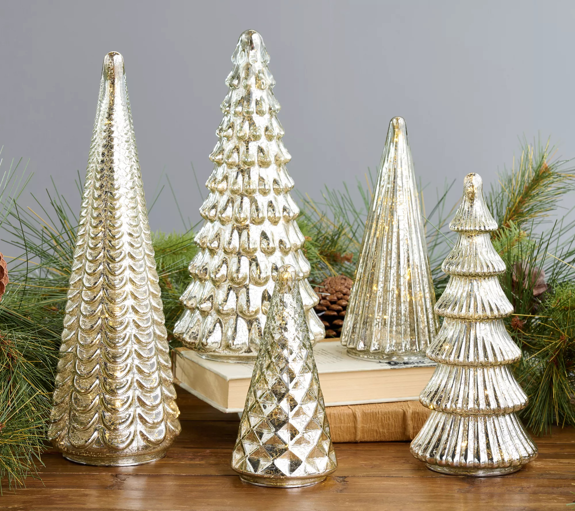 BFF Collection Set of 5 Illuminated Mercury Glass Trees | QVC