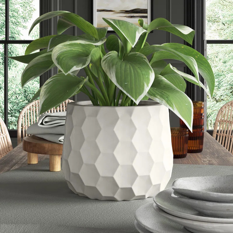 Edison Handmade Pot Planter | Wayfair North America