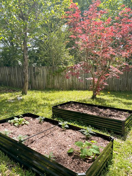 The perfect affordable raised beds for your backyard garden. 🌱🌱

#LTKhome #LTKfamily #LTKSeasonal