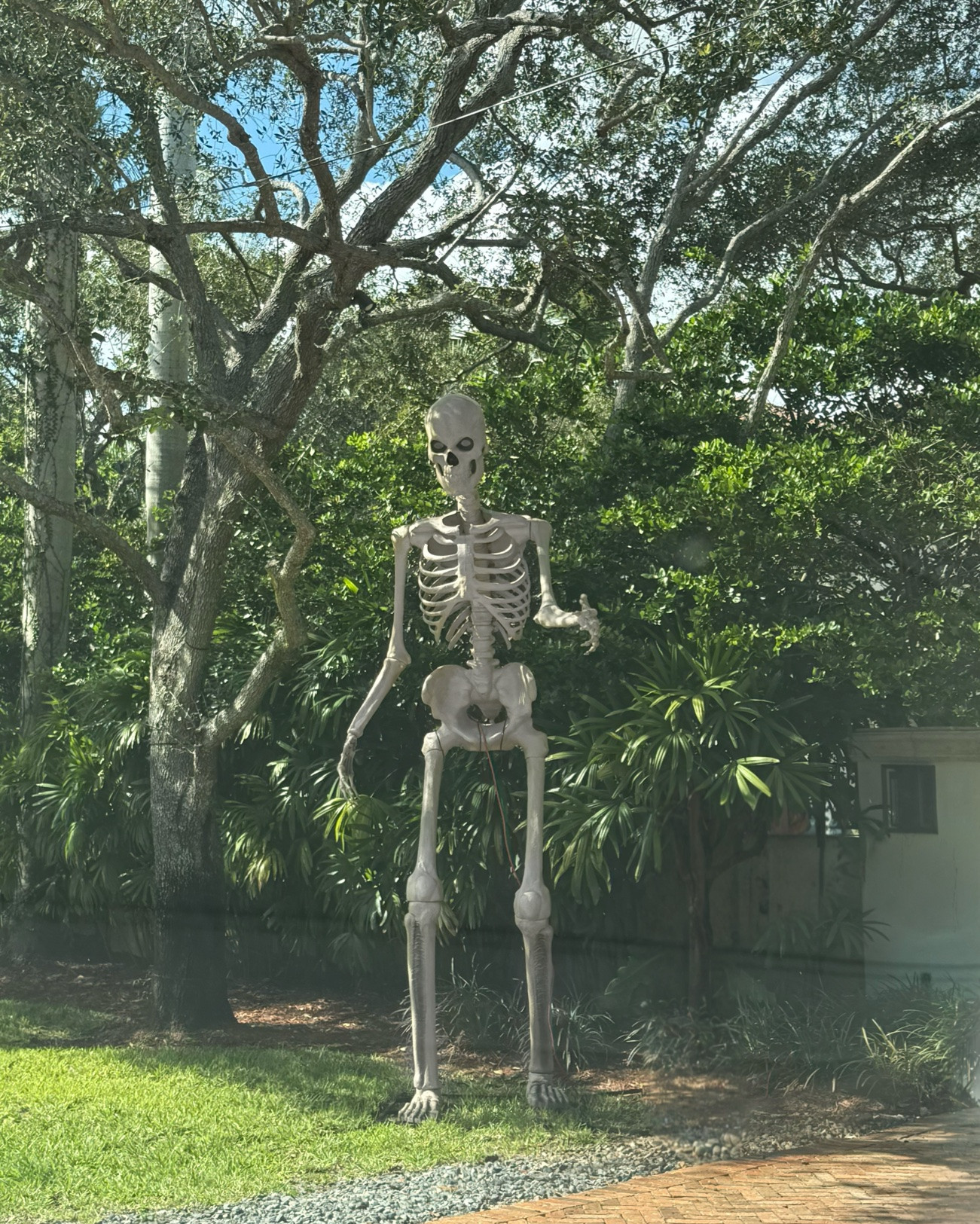 Skeleton Halloween yard decor 💀👻🎃

#LTKSeasonal #LTKSaleAlert #LTKHome