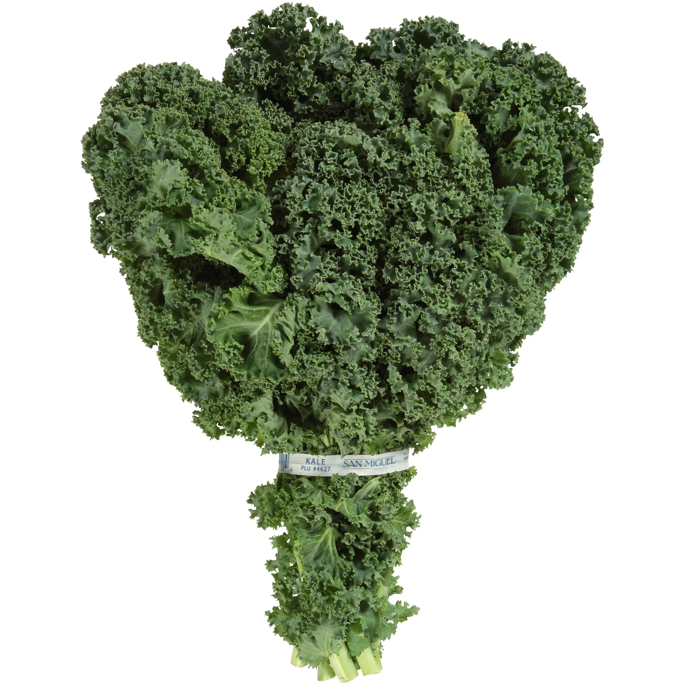 Fresh Kale Greens, Bunch, 1 Each | Walmart (US)