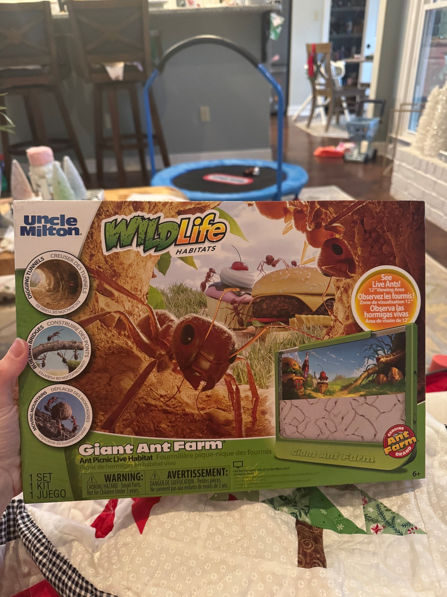 Still waiting on our live ants but I CANNOT wait to set this up! Perfect activity for toddlers and a wonderful learning tool to show them how ants make their tunnels.

#LTKKids #LTKFindsUnder50