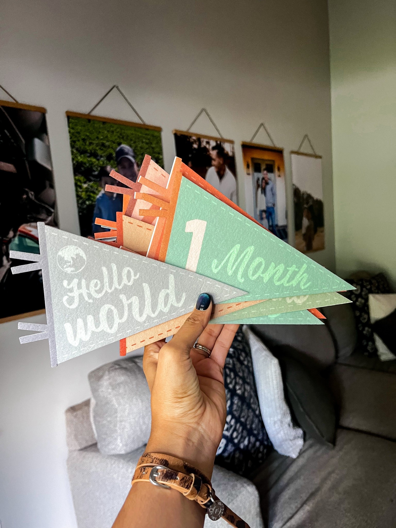 Monthly milestone flags! Cute for taking monthly pictures of my son!

#LTKFindsUnder50 #LTKKids #LTKBaby