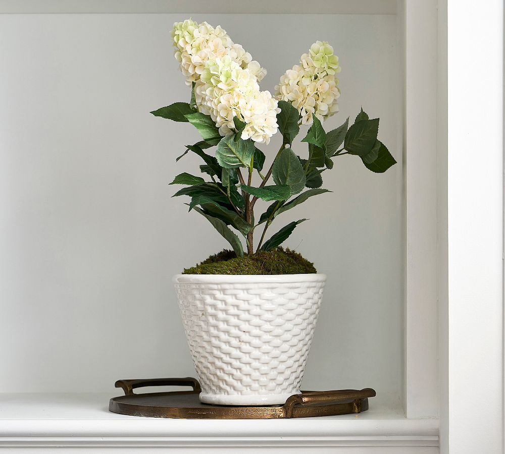 Ceramic Woven Cachepots | Pottery Barn (US)