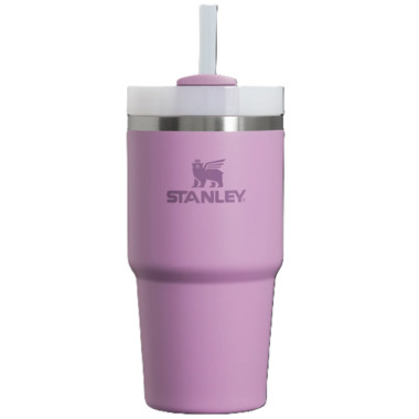 Stanley The Quencher H2.0 FlowState Tumbler Lilac | Well.ca