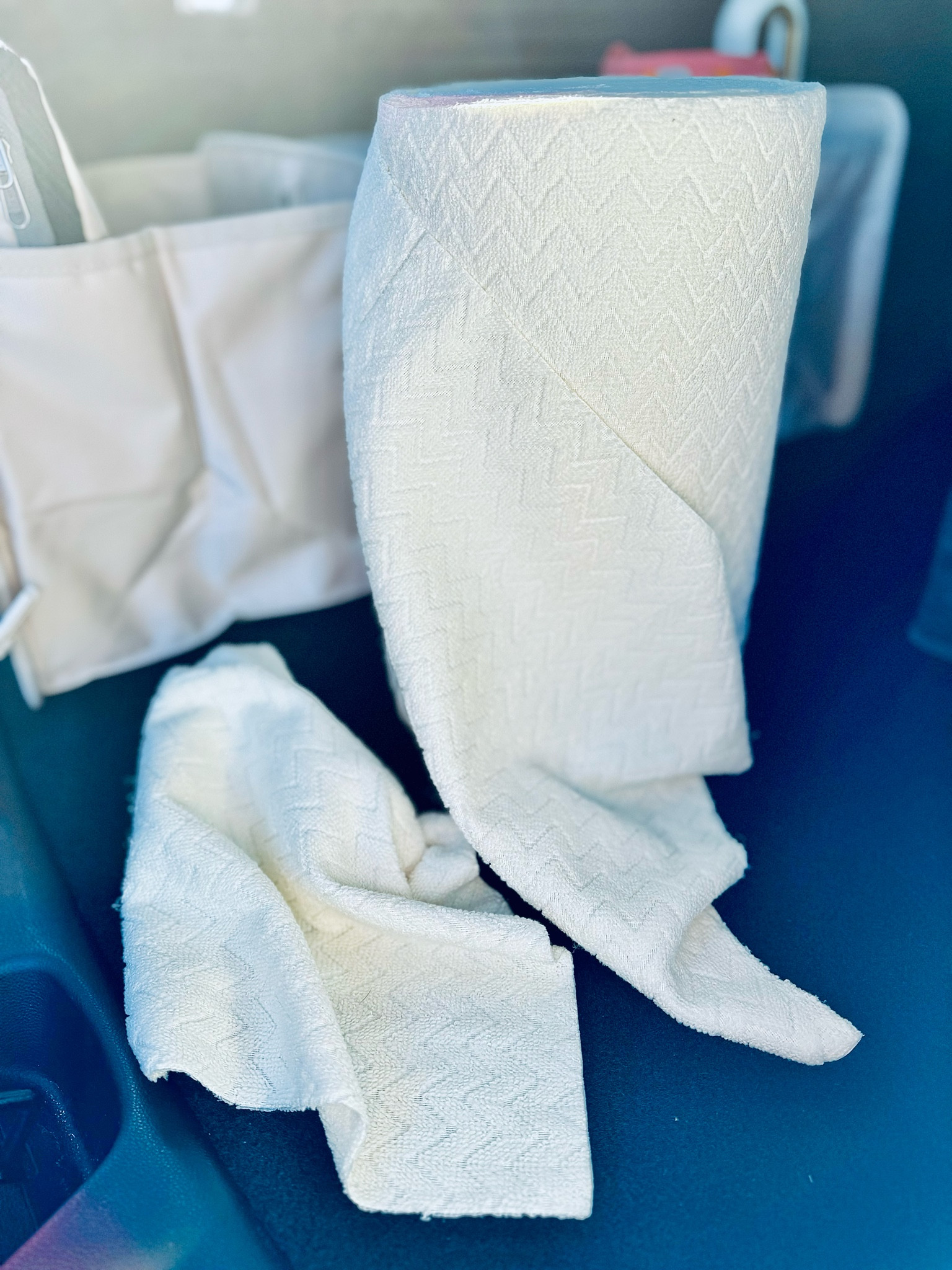 On-the-go essentials to keep in your car 🚗 

#travelessentials #onthego #carnecessities #amazonfinds 

#LTKfamily #LTKtravel #LTKfindsunder50