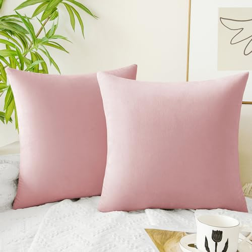 QUORGVES Light Pink Pillow Covers 16x16 Inch Pack of 2 Light Pink Throw Pillows for Couch Living Room Bed Bedroom Soft Velvet Square Throw Pillow Cover 16 x 16 Set of 2 | Amazon (US)