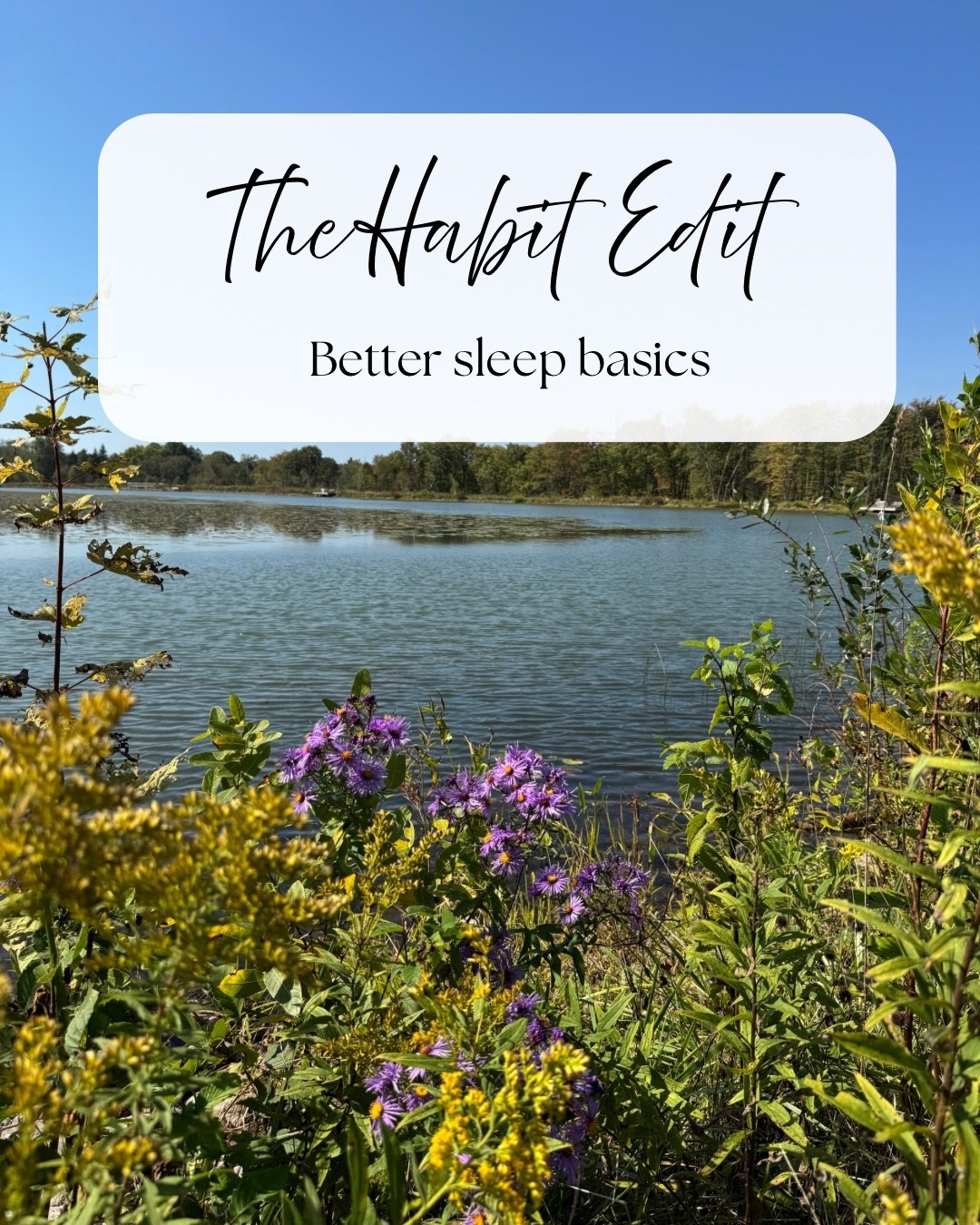 Better sleep is the goal this year.
Nothing extreme-just small swaps that make winding down easier. Eye masks, white noise, Sleepytime tea, melatonin and more. What helps you fall asleep? 
#sleephabits #newyearsresolutions #habitedit #melatonin #magnesiumspray


#LTKmomlife #LTKselfcare #LTKOver40