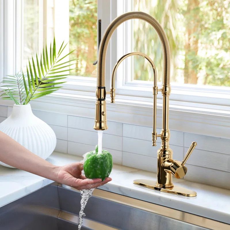 Pull Out Gooseneck High-Arc Kitchen Faucet | Wayfair North America