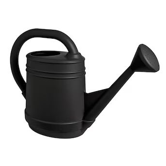 Bloem 2-Gallons Slate Resin Traditional Watering Can | Lowe's