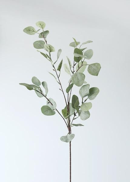 Dusty Grey Fake Silver Dollar Eucalyptus - 36.5" Tall | Afloral (US)