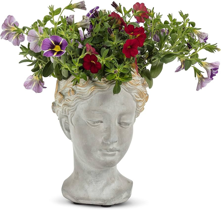 Abbott Collection Aphrodite Head Planter \u2013 Extra Small Indoor and Outdoor Planter Pots - Whi... | Amazon (US)