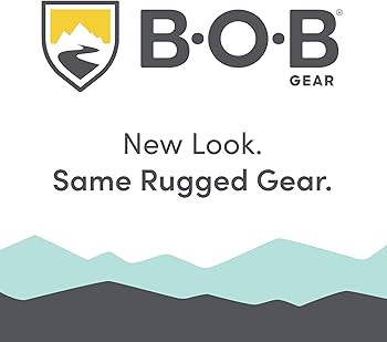 BOB Gear Revolution Flex 3.0 Duallie Double Jogging Stroller, Graphite Black | Amazon (US)