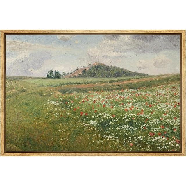 PixonSign Framed Canvas Print Wall Art Red & White Flower Field Storm Cloud Landscape Nature Wild... | Walmart (US)