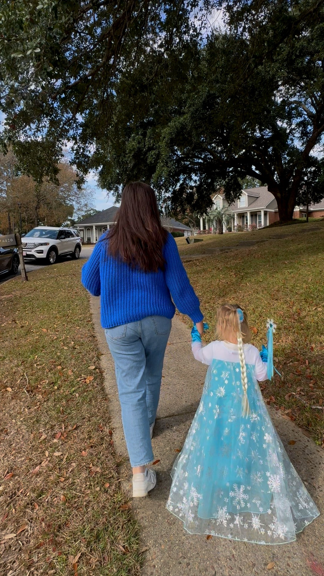 Toddler princess Elsa costume 

#LTKmomlife #LTKGiftGuide #LTKdayinmylife