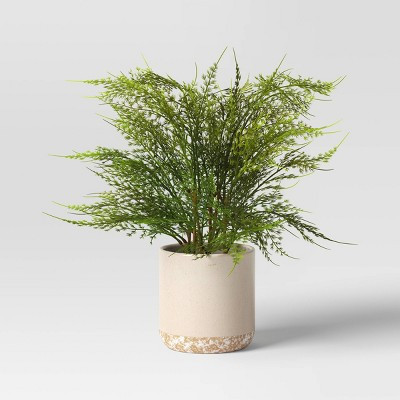 Small Artificial Asparagus Fern - Threshold™: Stoneware Pot, Indoor Faux Greenery Decor | Target