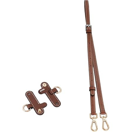 Jiesinlov Leather Bag Shoulder Strap Replacement Crossbody Adjustable Conversion Kit Fit for Mini... | Amazon (US)