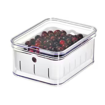 iDesign Multisize Plastic Bpa-free Reusable Food Storage Container with Lid | Lowe's