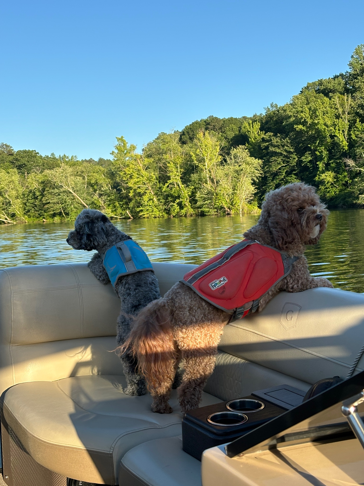 A summertime reminder that dogs need life jackets too !! 🫶🏼 especially on a boat or while swimming 💦 ☀️

#LTKFindsUnder50 #LTKPets #LTKSeasonal