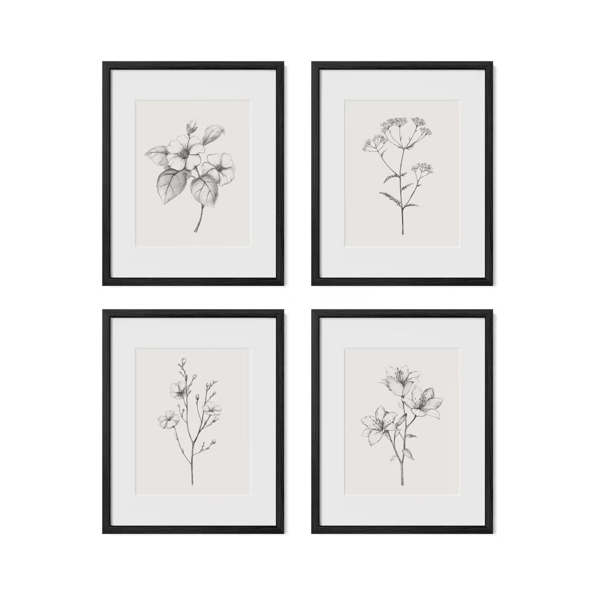 Framed Antique Floral Print Set – Set of 4 Vintage Botanical Prints | Target