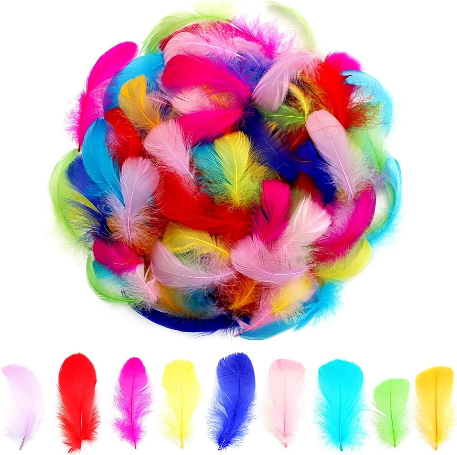 Lamar 300Pcs Colorful Feathers 2-3 Inches Bulk Feathers for Crafting, Craft Supplies, Art Project... | Amazon (US)