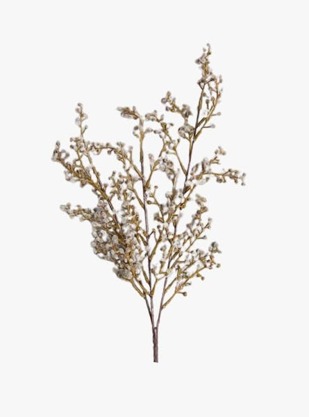 Foraged Neutral Sprig | Amazon (US)