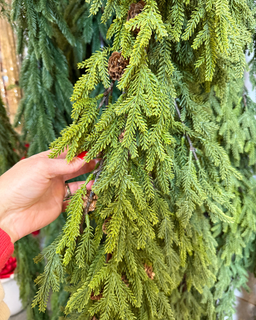Loving this Norfolk pine green garland for a simple, natural holiday look.
#holidaygarland #christmasdecor #ltkhome 

 #LTKHoliday #LTKSeasonal #LTKSaleAlert