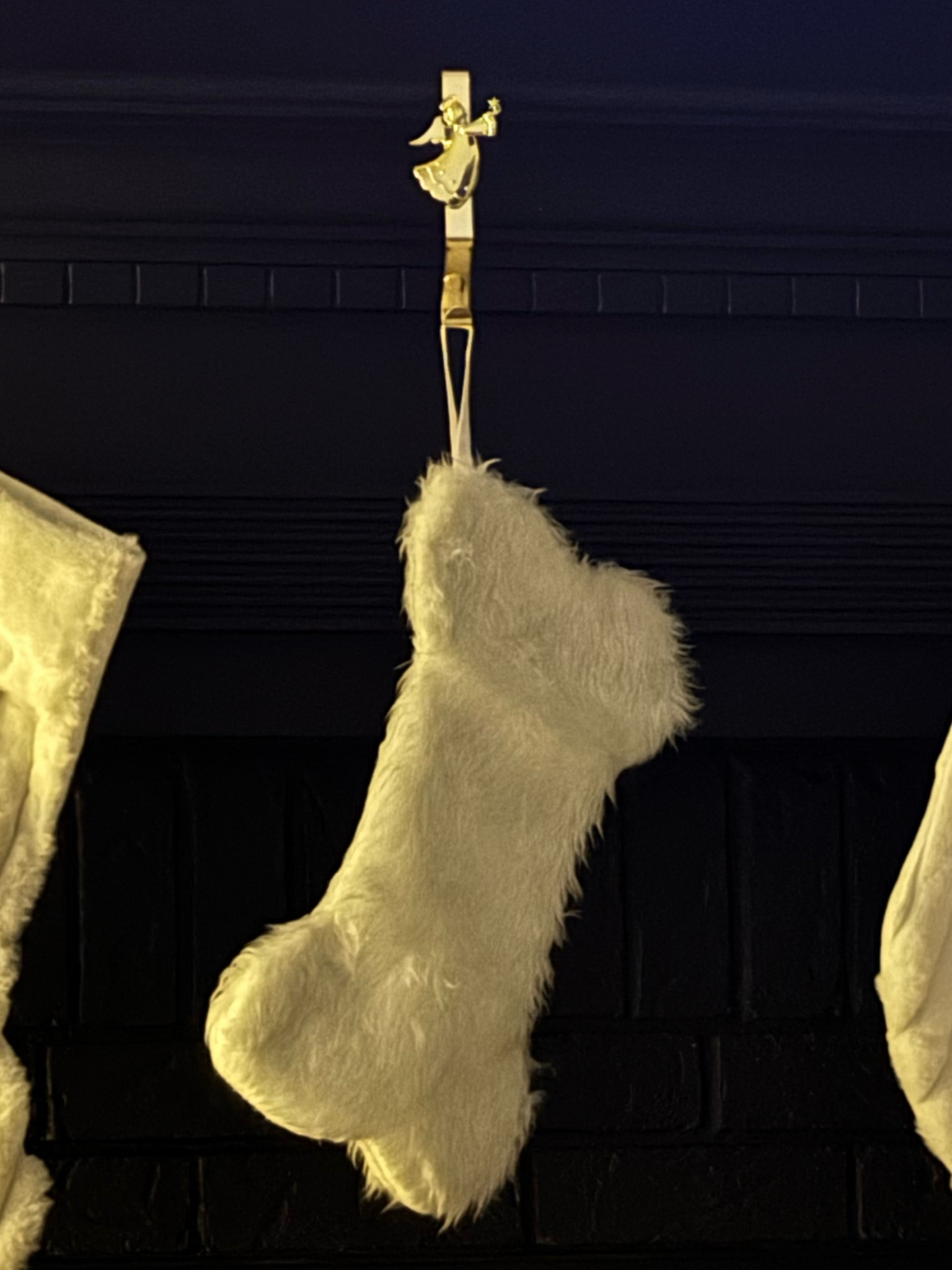 Dog Bone Stocking 🐶

#LTKSeasonal #LTKhome #LTKHoliday