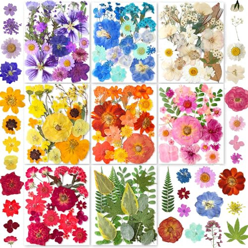269PCS Dried Pressed Flowers for Resin Craft - YouthBro Real Nature Flowers Set with Butterfly Stickers for DIY Jewelry Nail Scrapbook Art Floral Decors Iridescent | Amazon (US)