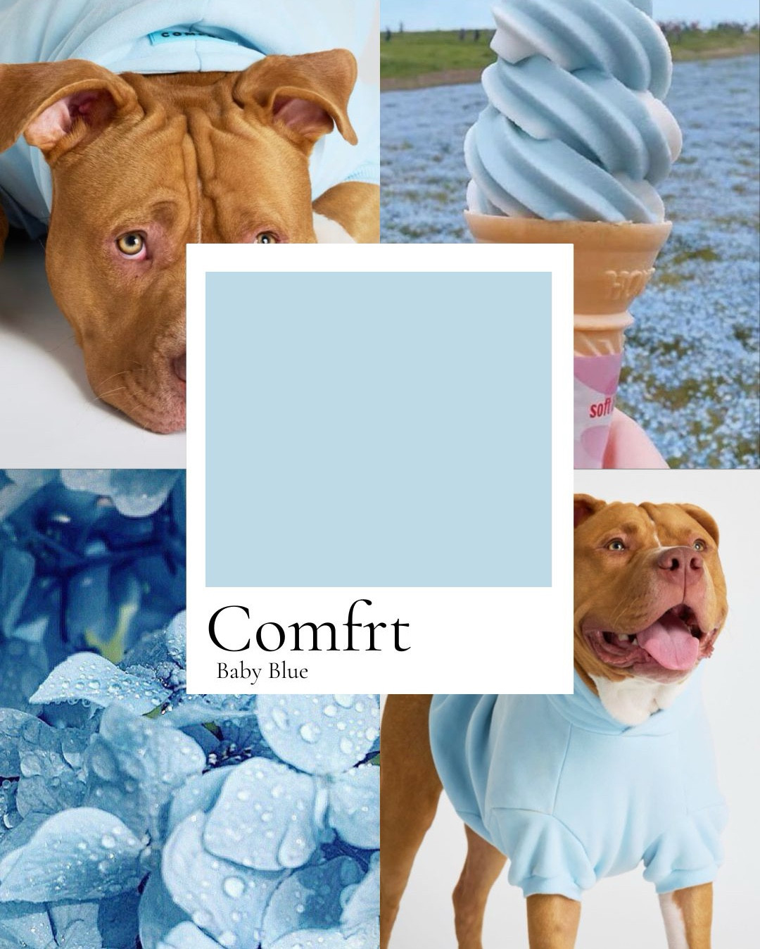 pastel paws🤍

#LTKSaleAlert #LTKSummerEdit #LTKPets