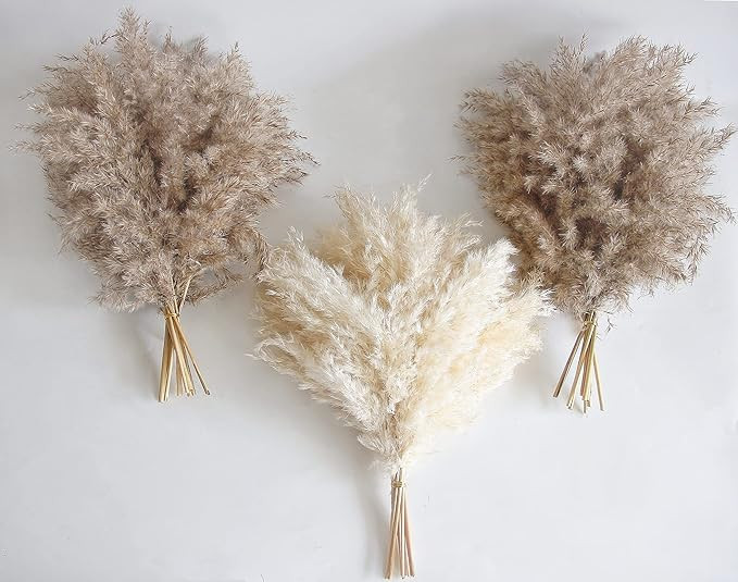 30 PCS Boho Decor, Fluffy Pompas Grass, Natural Dry Pampas Grass Small, Short Pampass Bulk for Bo... | Amazon (US)