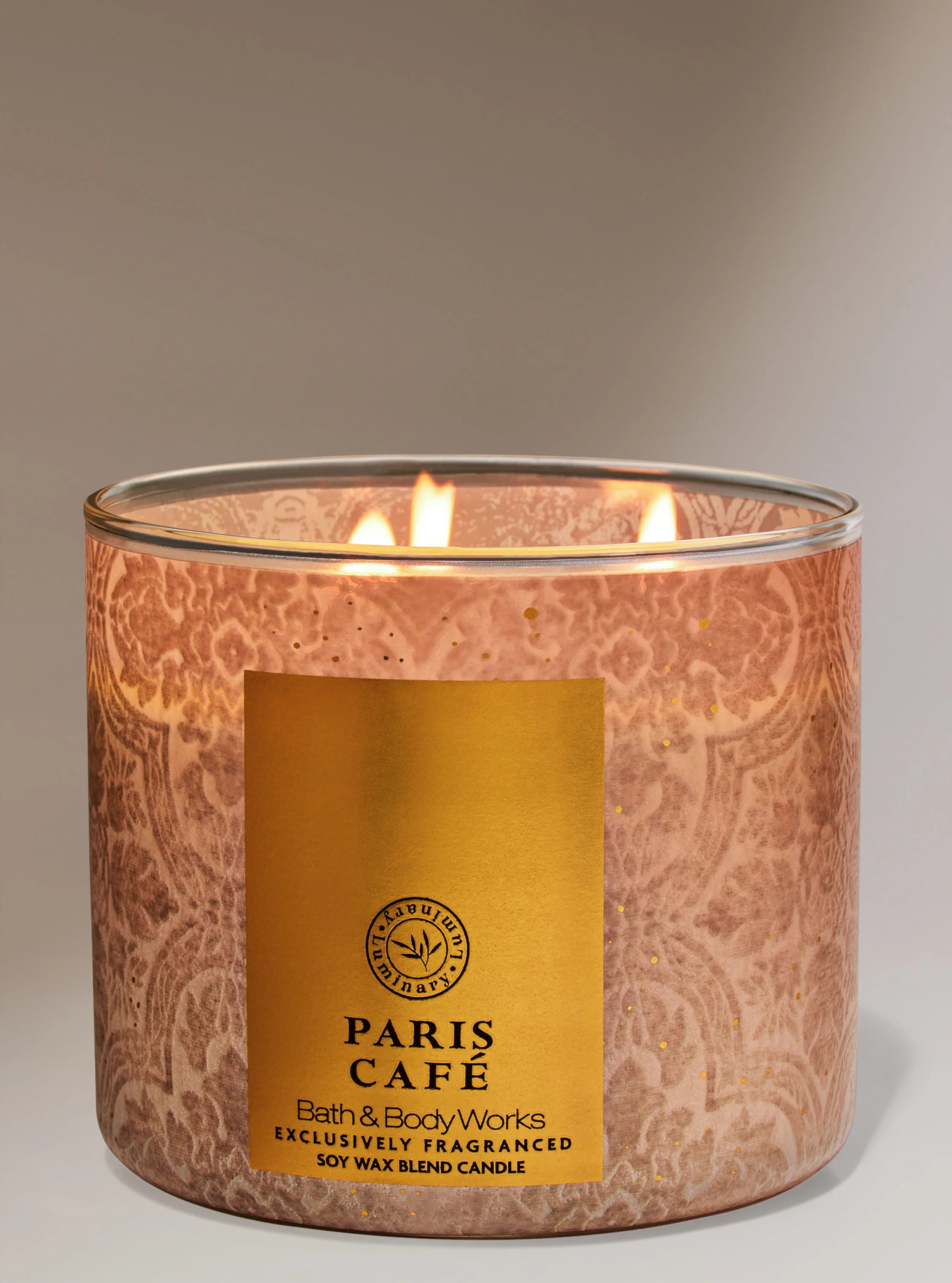 Paris Café


3-Wick Candle | Bath & Body Works