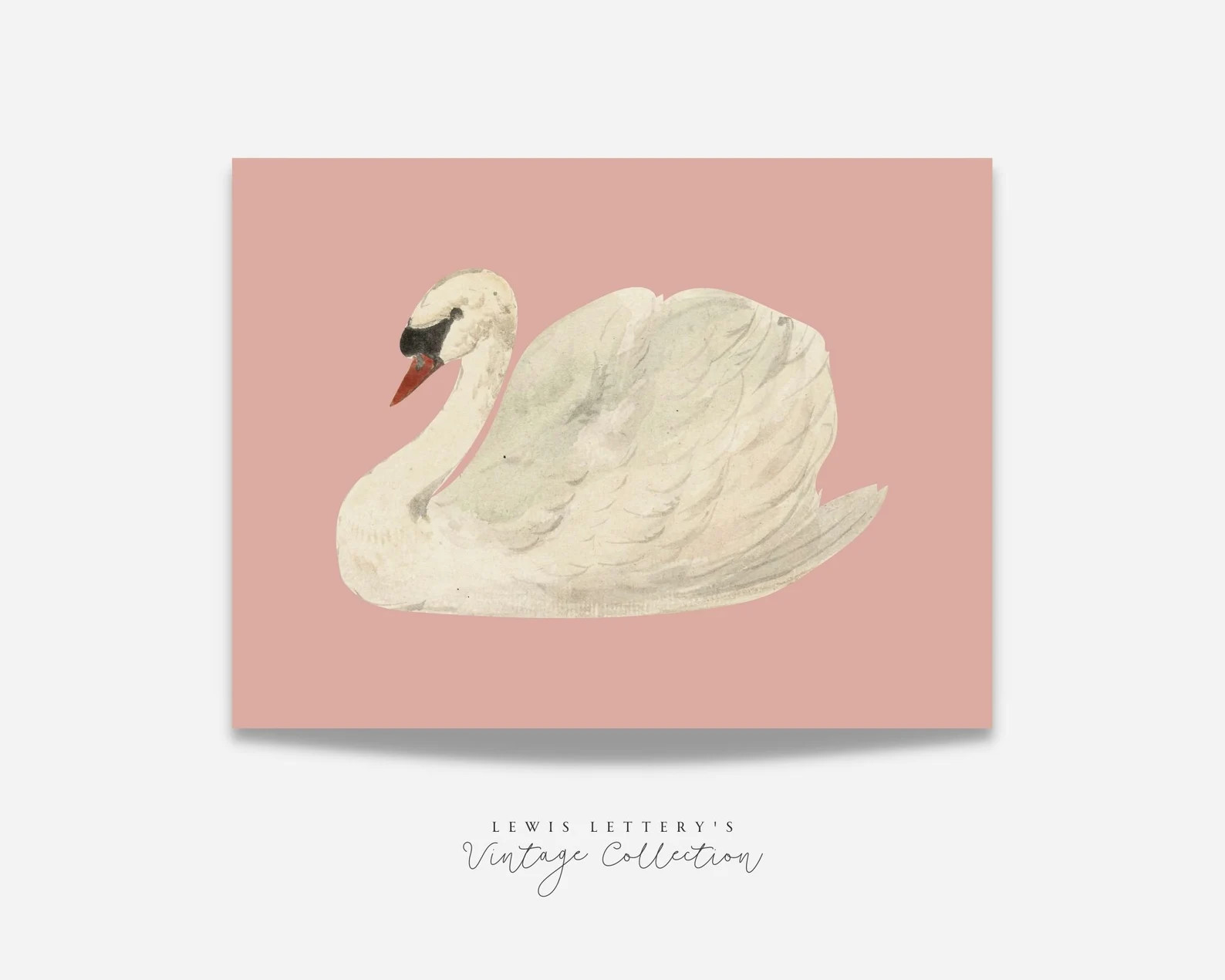 White Swan on Pink Background Vintage Printable Wall Art, Instant Download, Swan Painting, Waterc... | Etsy (US)