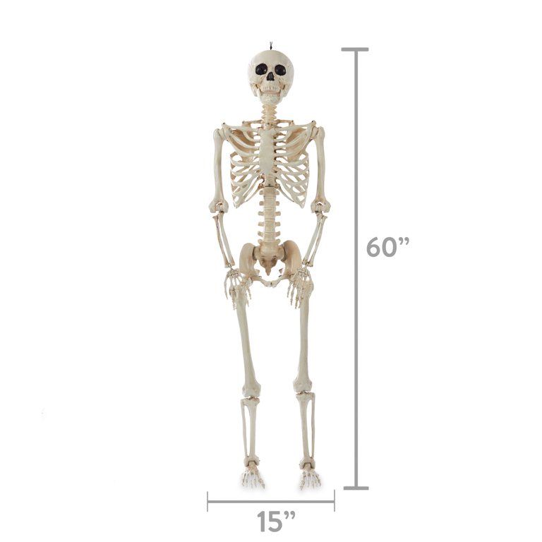 WAY TO CELEBRATE! Halloween Hanging Posable Skeleton Decoration, 5' | Walmart (US)