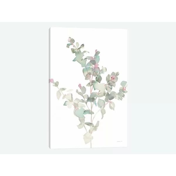 'Eucalyptus II, White' By Danhui Nai Graphic Art Print on Canvas | Wayfair North America