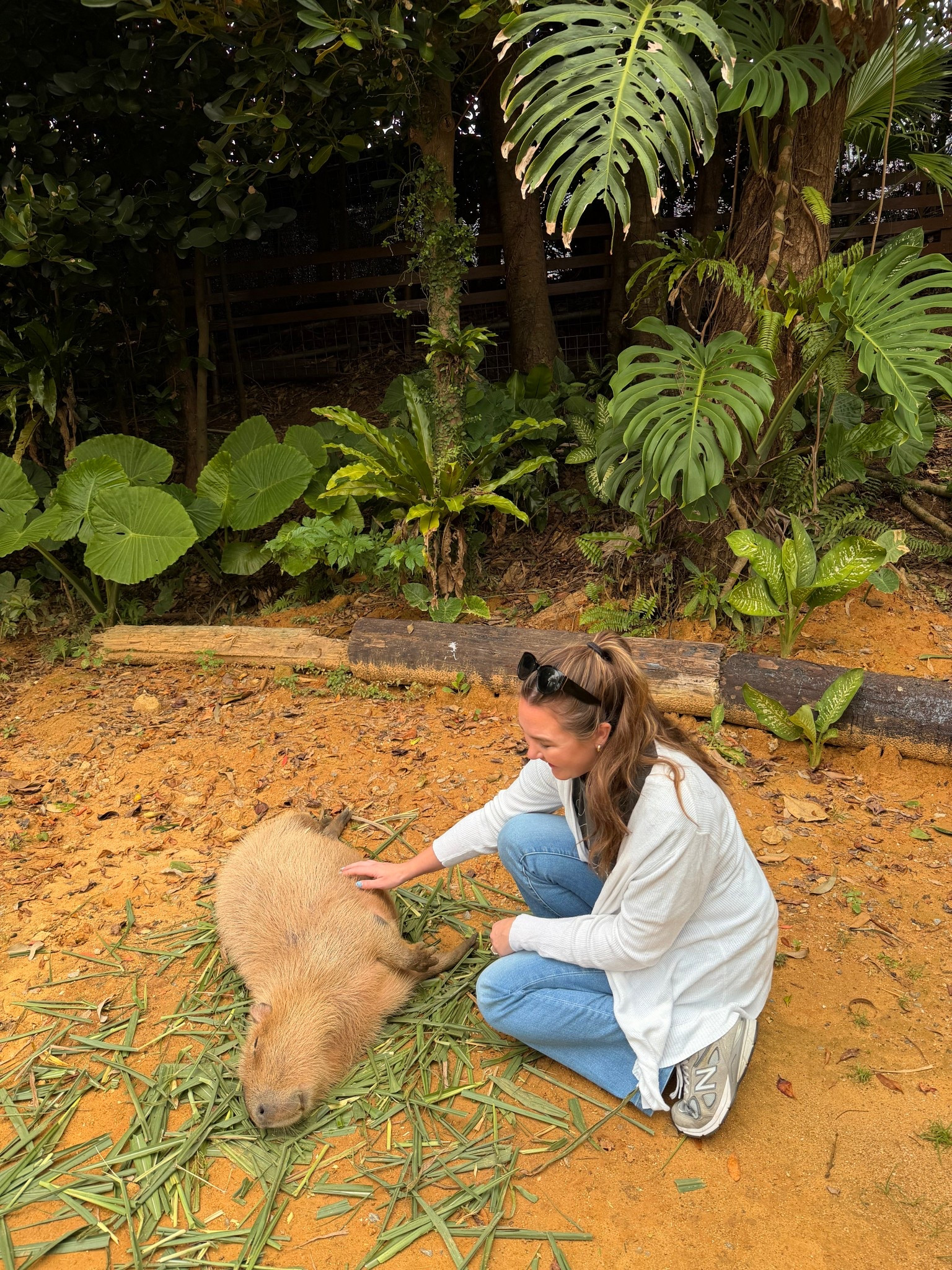 the jeans I wore all over Japan that felt so comfy I could walk 20k steps in them & still feel good! 

would be cute on anyone but also work so well on short torso girls! especially short torso / long leg combo bc they come in long :) 

#LTKTravel #LTKootd