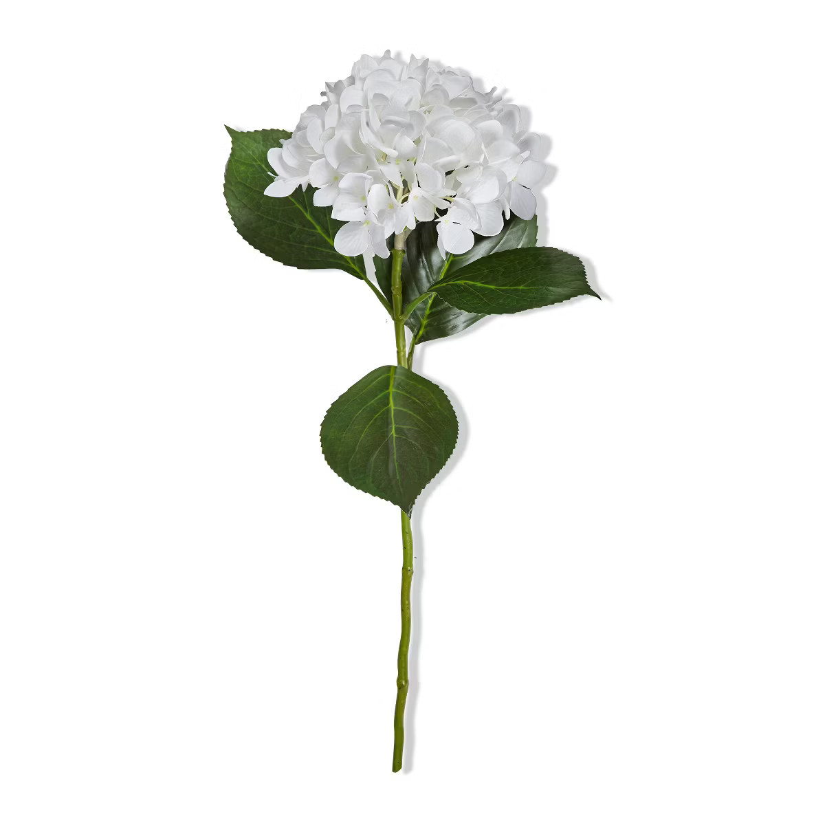 tagltd White Hydrangea Artificial Stem Polyester 27H inch | Target
