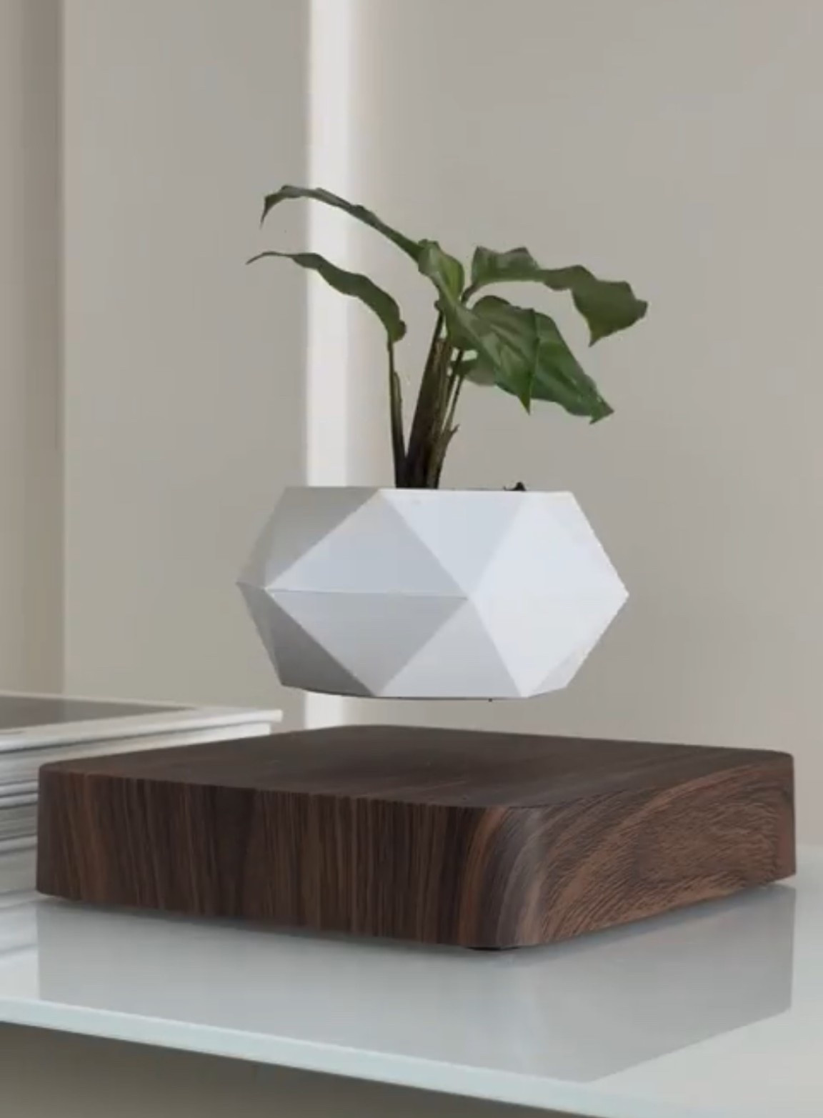 Scroll to shop!! Follow for more!!! Xo! ✨

#LTKFindsUnder50 #LTKHome #LTKFindsUnder100