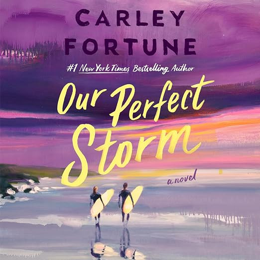 Our Perfect Storm | Amazon (US)