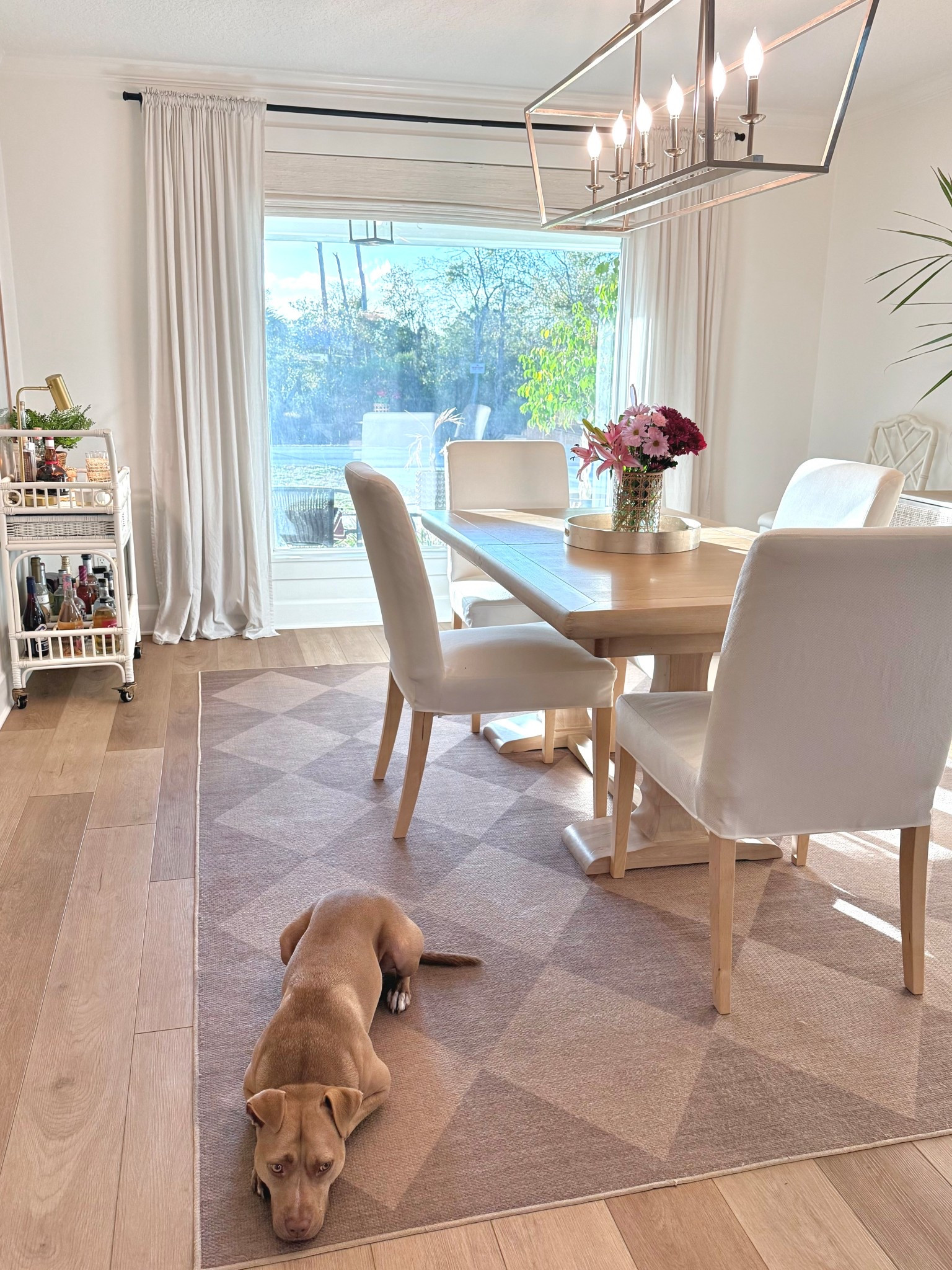 Machine washable rug jute look dining room decor bar cart coastal decor 

#LTKHome #LTKSaleAlert