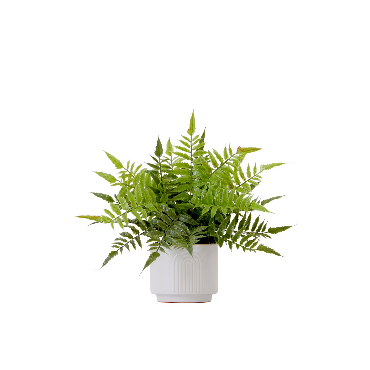Nearly Natural 13-in Artificial Boston Fern Plant with Decorative Planter | Target