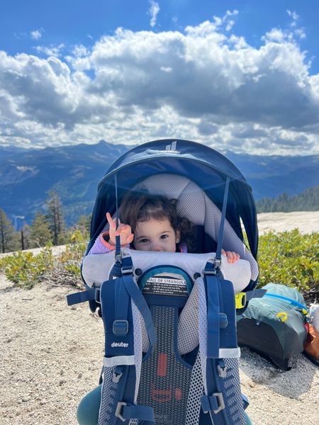 Our favorite hiking pack for babies/toddlers!! 