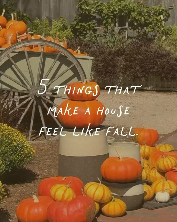 shop the five things that make a house feel like fall 🍂

fall decorating doesn't mean orange everything and a bin of pumpkins. it means a few things that feel like the season without shouting about it.

deep red. dried flowers. glass that catches the afternoon light around four o'clock when it's already going gold.

you don't buy a house that looks like this in one october. you buy one good thing a year and let it pile up. that's why nothing in here matches and all of it works.

shop: cozy fall decor, fall home decor, dried flower wreath, glass bud vase, floral glass vase, block print throw blanket, fall throw pillow, burgundy table lamp, glass cloche, pumpkin dutch oven, fall candle, vintage bird prints, woven basket, new england fall home 

 #falldecor #cozyhome #newenglandhome #autumndecor #homefinds