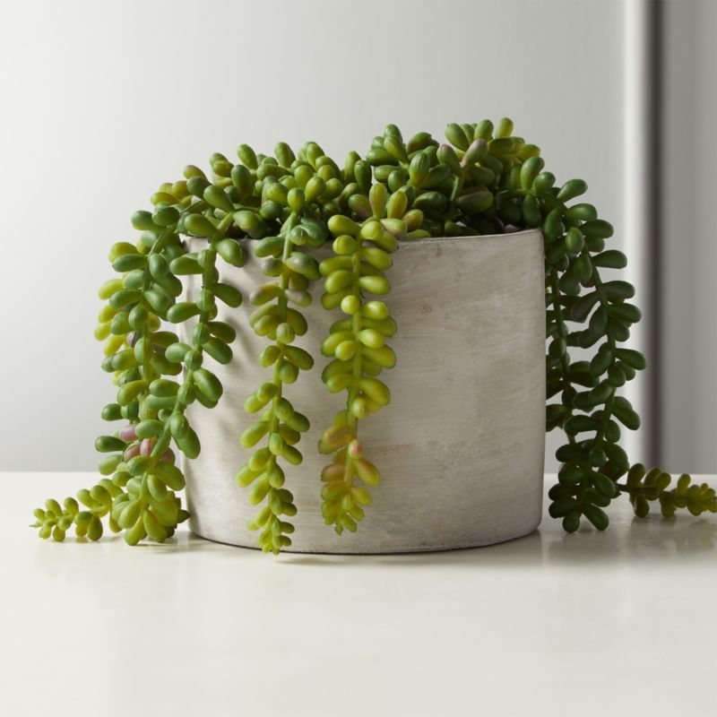 Faux Potted Burro's Tail 6" + Reviews | CB2 | CB2