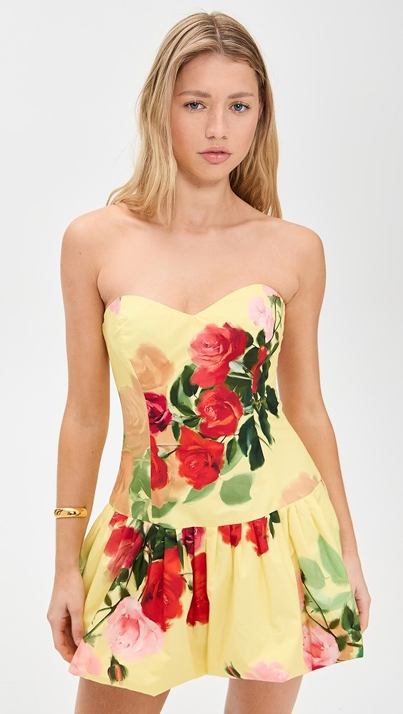 Elena Dress | Shopbop