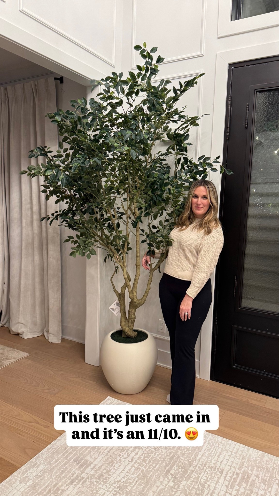 8 foot huge fluffy olive tree in planter.

#LTKHome #LTKSaleAlert