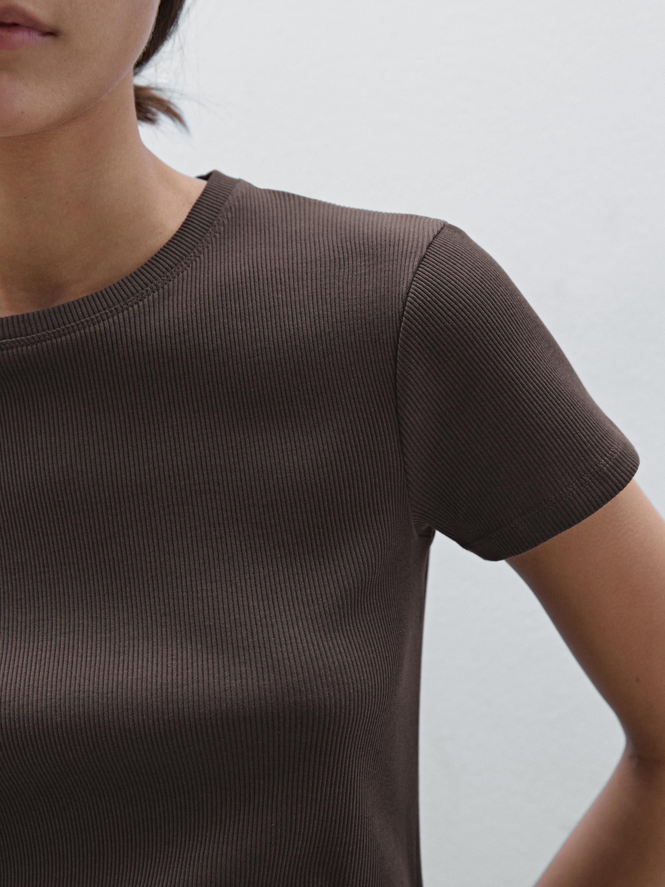 100% cotton ribbed short sleeve T-shirt | Massimo Dutti US