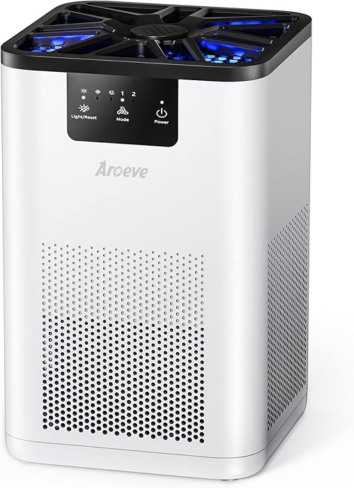 AROEVE Air Purifiers for Bedroom Air Purifier With Aromatherapy Function For Pet Smoke Pollen Dan... | Amazon (US)